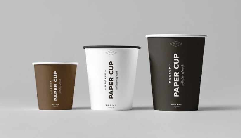 paper cup